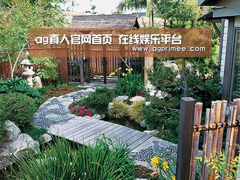 产品展示标题五