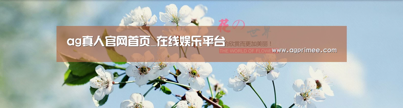 花卉园林种植展示网站模板