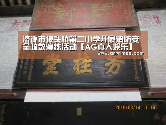 真人视讯