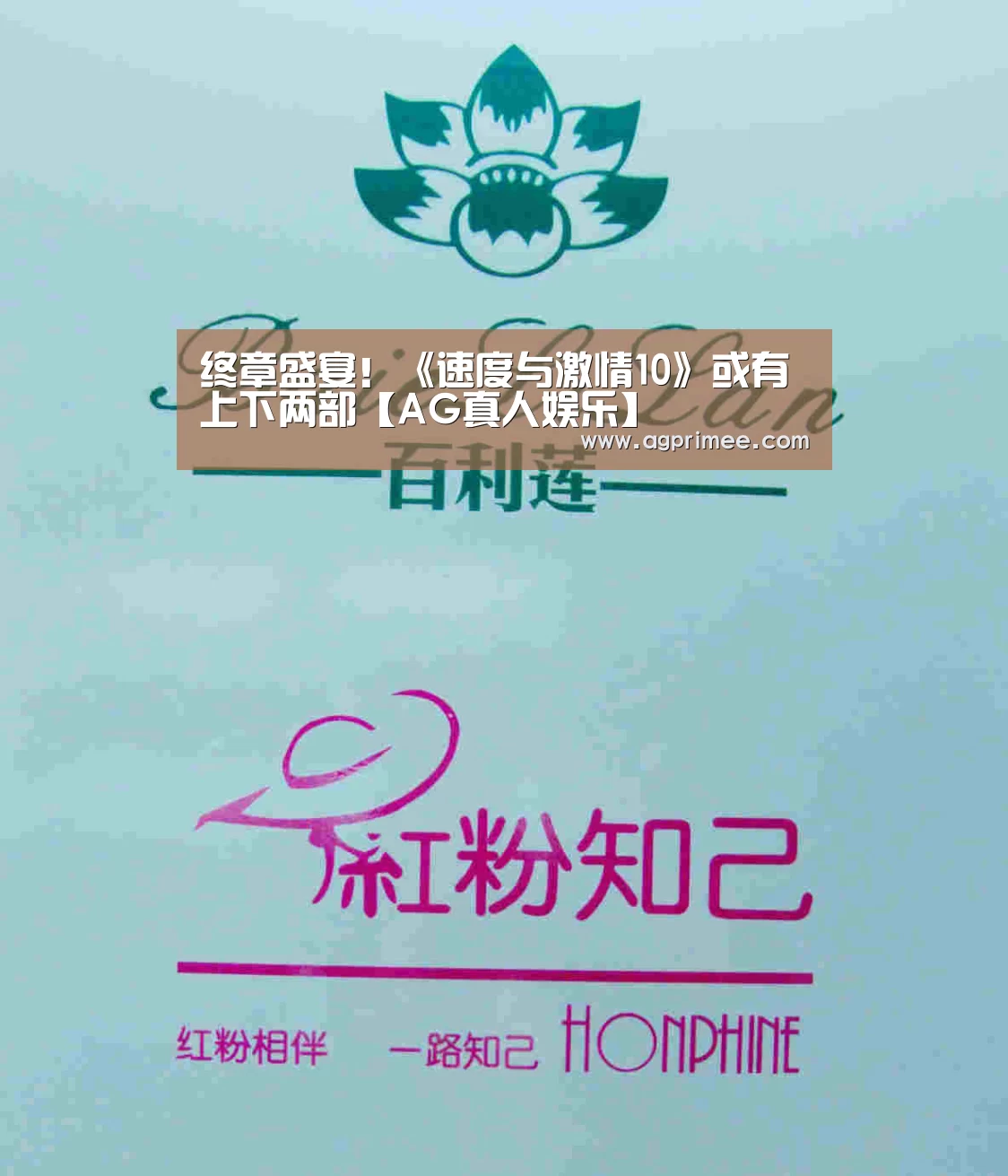真人视讯