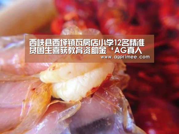 西峡县西坪镇瓦房店小学12名精准贫困生喜获教育资助金‘AG真人官网’(图2) AG真人官网