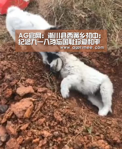 AG官网:淅川县西簧乡初中:纪念九一八勿忘国耻珍爱和平振兴中华(图1) AG官网