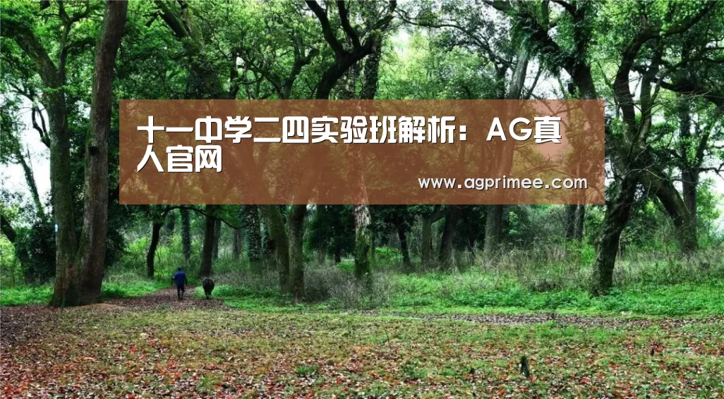 十一中学二四实验班解析:AG真人官网(图4) AG真人官网
