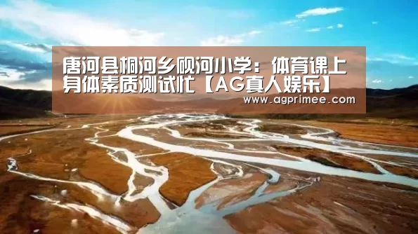 唐河县桐河乡砚河小学:体育课上身体素质测试忙【AG真人娱乐】(图1) AG真人官网
