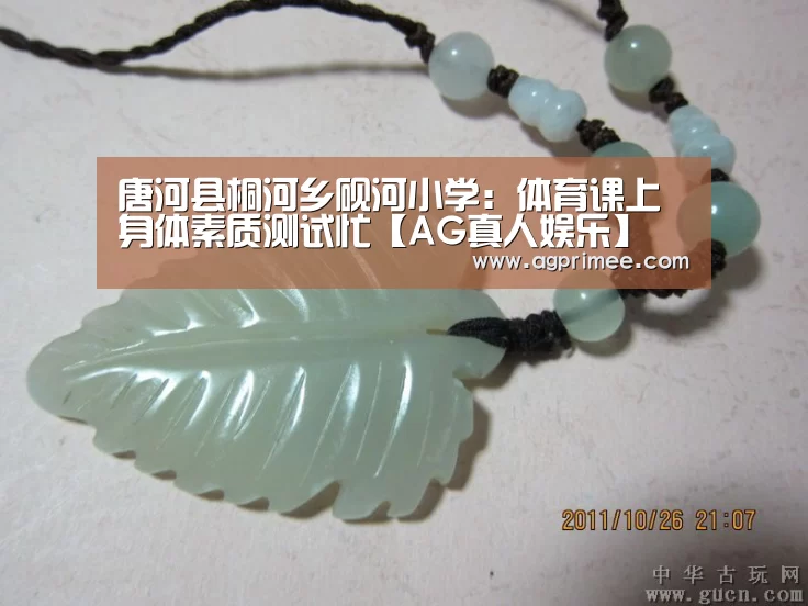 唐河县桐河乡砚河小学:体育课上身体素质测试忙【AG真人娱乐】(图2) 真人视讯