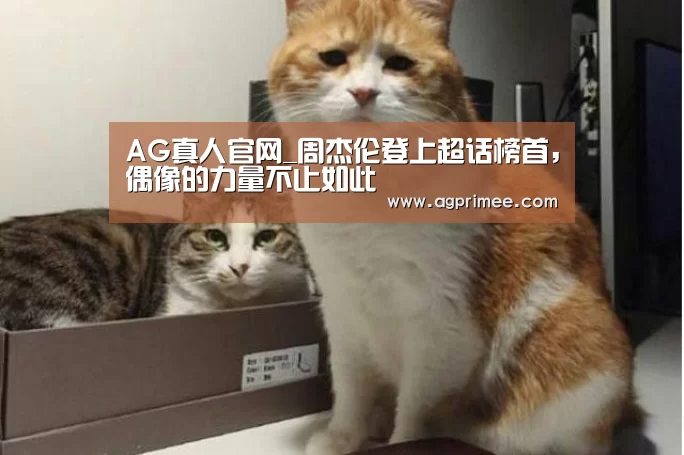 AG真人官网_周杰伦登上超话榜首,偶像的力量不止如此(图2) 真人视讯