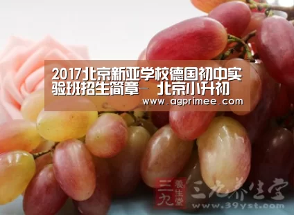2017北京新亚学校德国初中实验班招生简章- 北京小升初【AG真人娱乐】(图1) AG真人娱乐